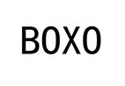 BOXO;BOXO