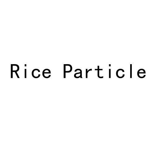 RICE PARTICLE;RICE PARTICLE