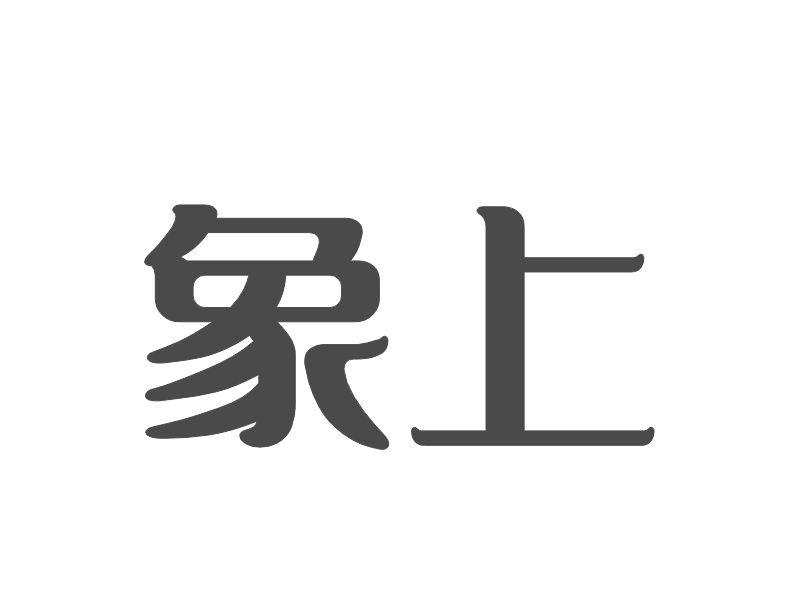 象上