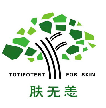 肤无恙;TOTIPOTENT FOR SKIN