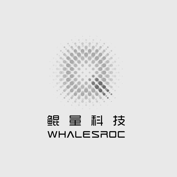 鲲量科技 WHALESROC;WHALESROC