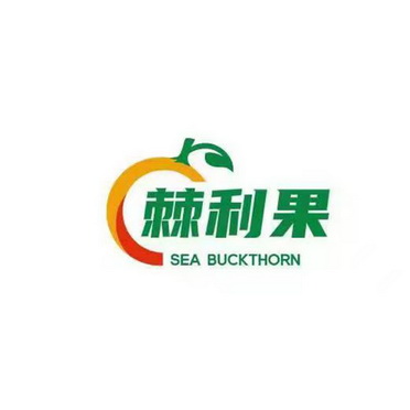 棘利果;SEA BUCKTHORN