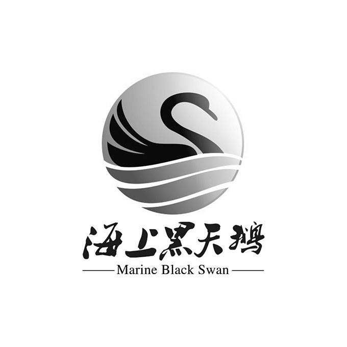 海上黑天鹅 MARINE BLACK SWAN;MARINE BLACK SWAN