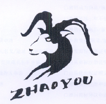 ZHAOYOU;ZHAOYOU