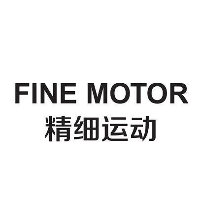 精细运动 FINE MOTOR;FINEMOTOR