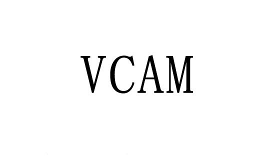 VCAM;VCAM