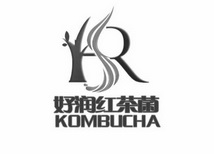 好润红茶菌  KOMBUCHA;KOMBUCHA