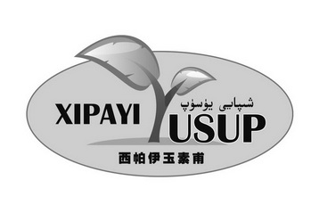 西帕伊玉素甫 XIPAYI USUP;XIPAYI USUP