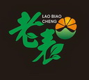 老表 LIAO BIAO CHENG;LIAO BIAO CHENG