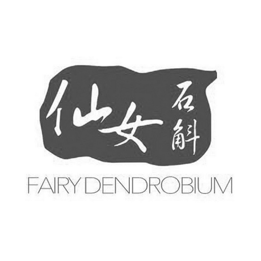 仙女石斛 FAIRY DENDROBIUM;FAIRY DENDROBIUM