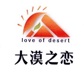 大漠之恋 LOVE OF DESERT;LOVE OF DESERT