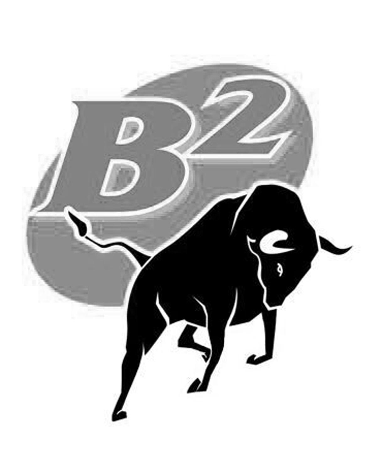 B 2;B 2