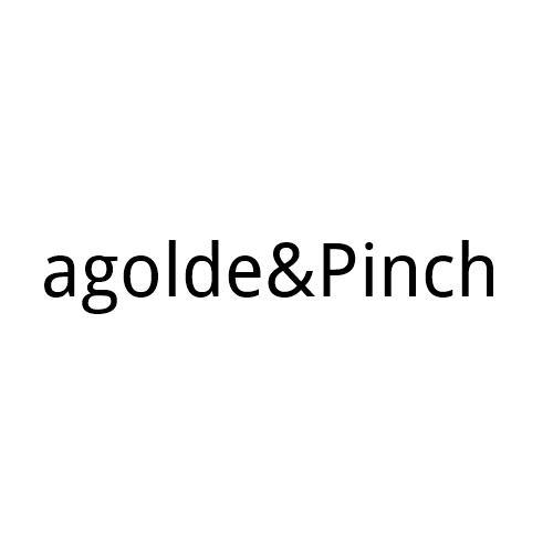 ;AGOLDE PINCH