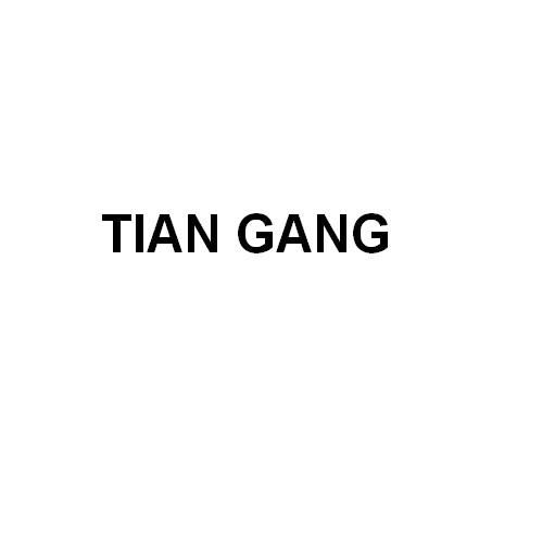 ;TIAN GANG