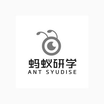 蚂蚁研学 ANT SYUDISE;ANT SYUDISE