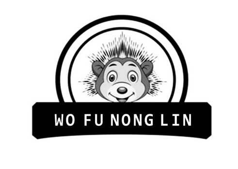 WO FU NONG LIN;WO FU NONG LIN