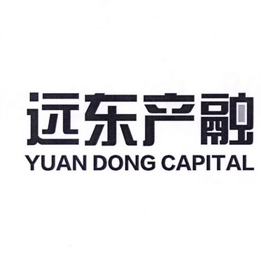 远东产融 YUAN DONG CAPITAL;YUAN DONG CAPITAL