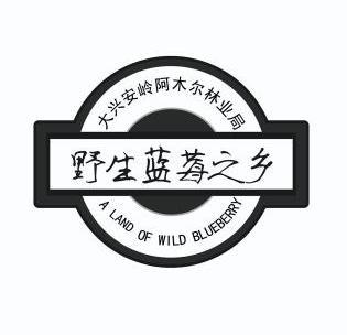 野生蓝莓之乡 大兴安岭阿木尔林业局 A LAND OF WILD BLUEBERRY;ALANDOFWILDBLUEBERRY