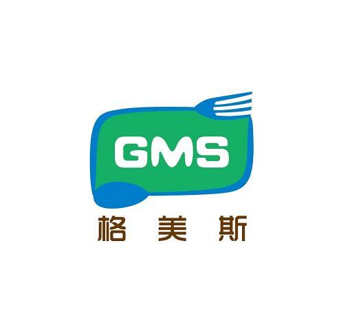 格美斯;GMS