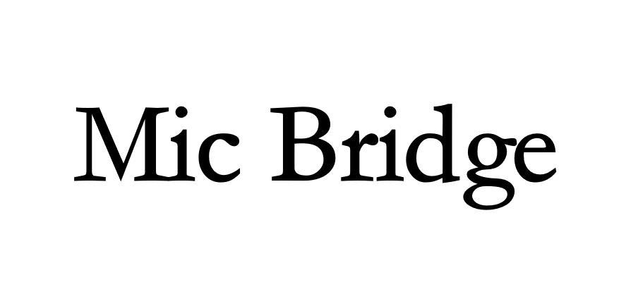 MIC BRIDGE