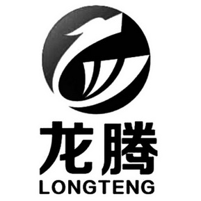 龙腾;LONGTENG