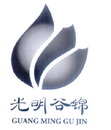 光明谷锦;GUANGMINGGUJIN