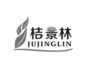 桔景林;JUJINGLIN