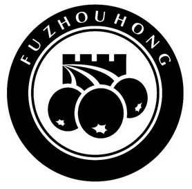 FU ZHOU HONG;FU ZHOU HONG