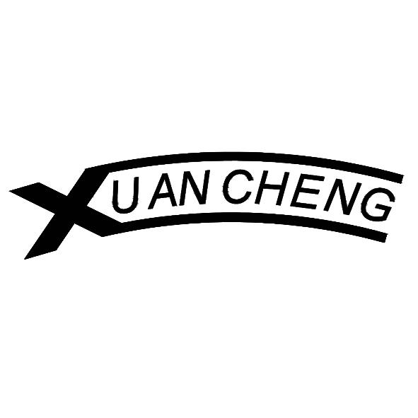 XUAN CHENG;XUAN CHENG