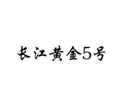 长江黄金5号;5