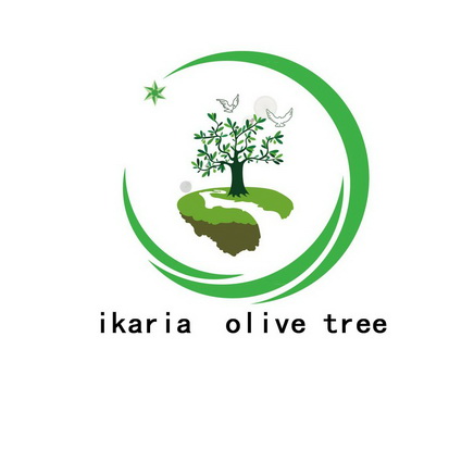 IKARIA OLIVE TREE;IKARIA OLIVE TREE