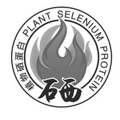 硒 植物硒蛋白  PLANT SELENIUM PROTEIN;PLANT SELENIUM PROTEIN