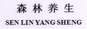 森林养生;SENLINYANGSHENG