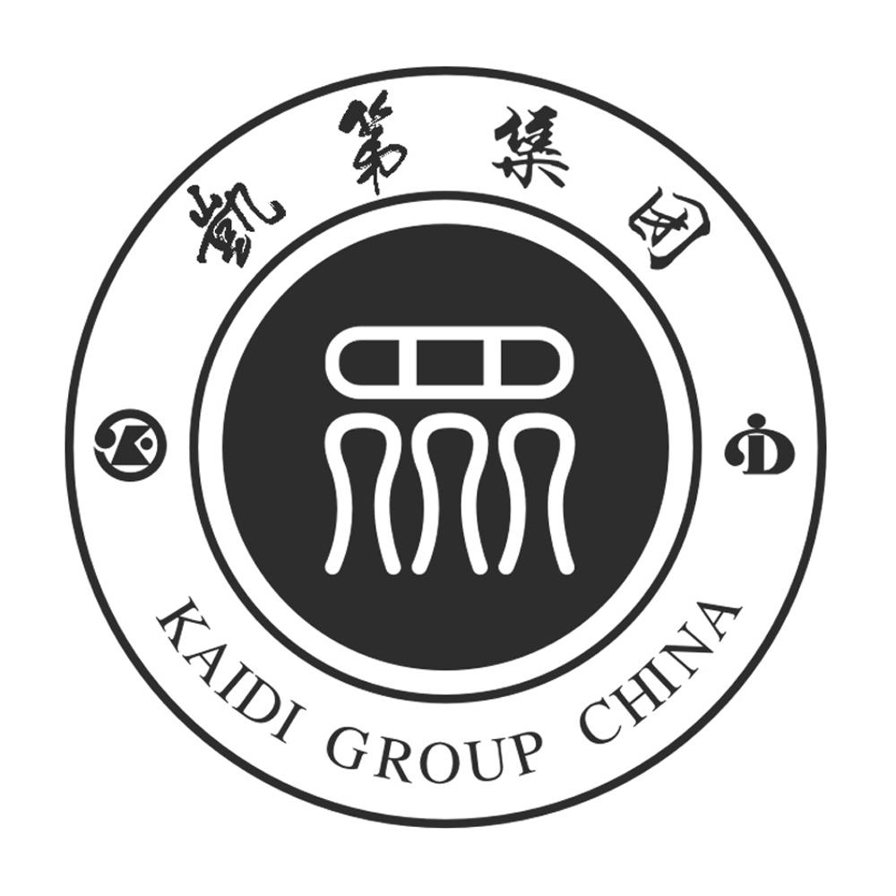 凯第集团 KAIDI GROUP CHINA;KAIDI GROUP CHINA