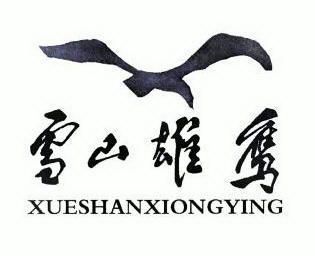 雪山雄鹰;XUESHANXIONGYING