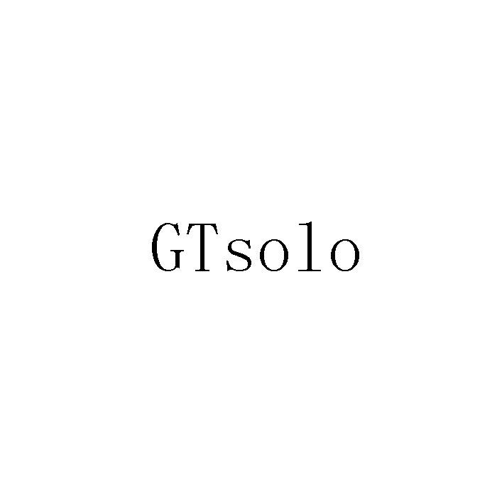 ;GTSOLO