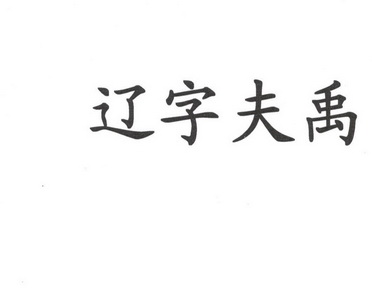 辽字夫禹