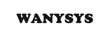 WANYSYS;WANYSYS