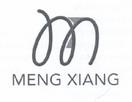 MENG XIANG;MENG XIANG