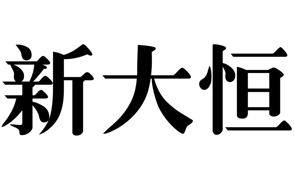 新大恒