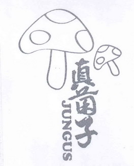 真菌子 JUNGUS;JUNGUS