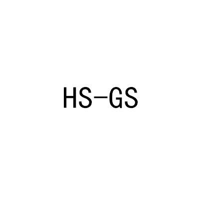 ;HSGS