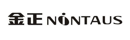 金正  NINTAUS;NINTAUS