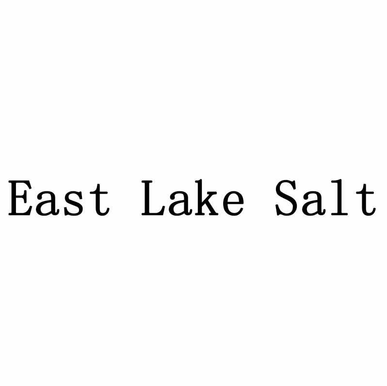 ;EAST LAKE SALT