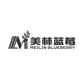 美林蓝莓 MEILIN BLUEBERRY;MEILIN BLUEBERRY