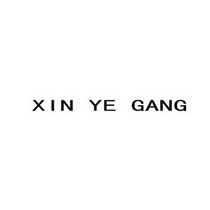 XIN YE GANG;XIN YE GANG