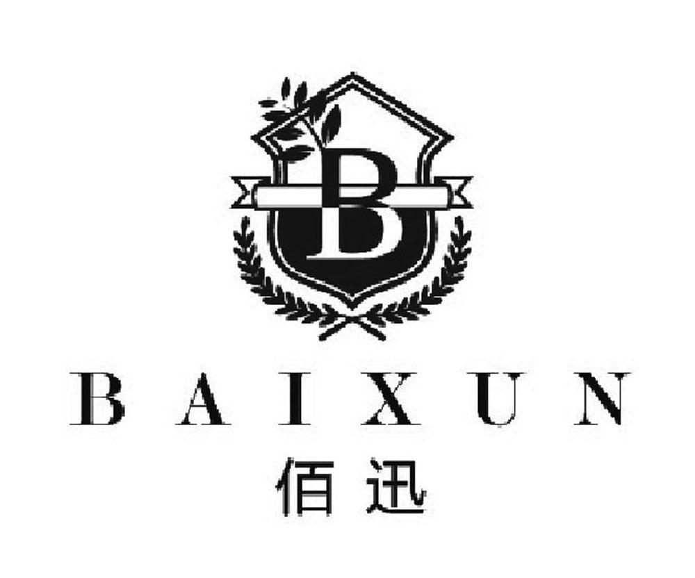 佰迅 B;BAIXUN;B