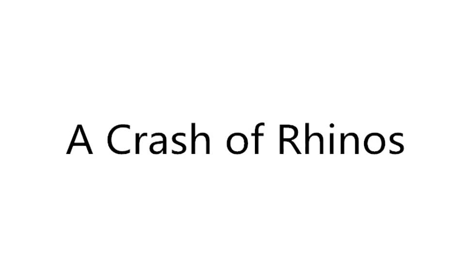 A CRASH OF RHINOS;A CRASH OF RHINOS