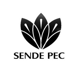 SENDE PEC;SENDEPEC