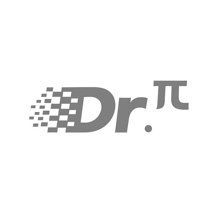 DR.Π;DR